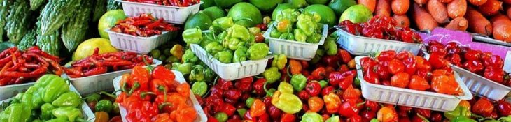 Malta | RA1 – Declaration of Agricultural Produce – 30th June