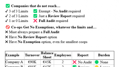 Audit Exemptions for Financial Statements: A Policy Divide That Penalises Maltese Cooperatives